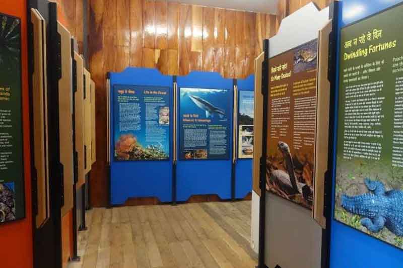 inside of Mahatma Gandhi Marine National Park wandoor port blair